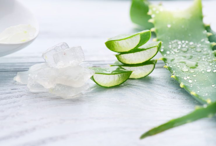 get aloe vera