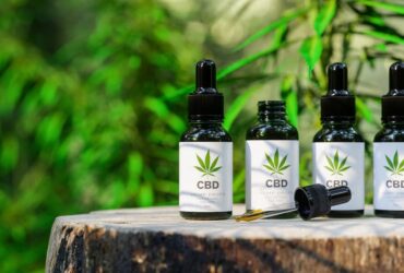 cbd perte de poids