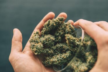 h4cbd